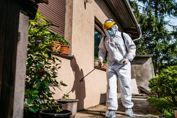 Best Emergency Pest Control  in Kemmerer, WY