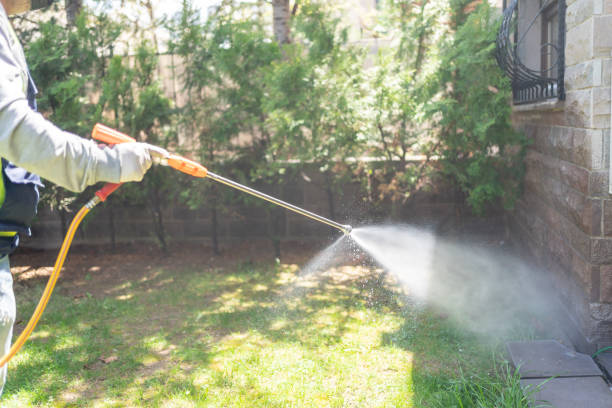Best Pest Prevention Services  in Kemmerer, WY
