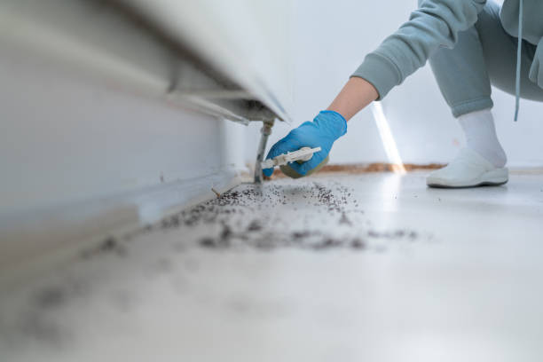 Best Pest Control for Businesses  in Kemmerer, WY